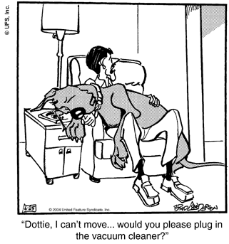 marmaduke